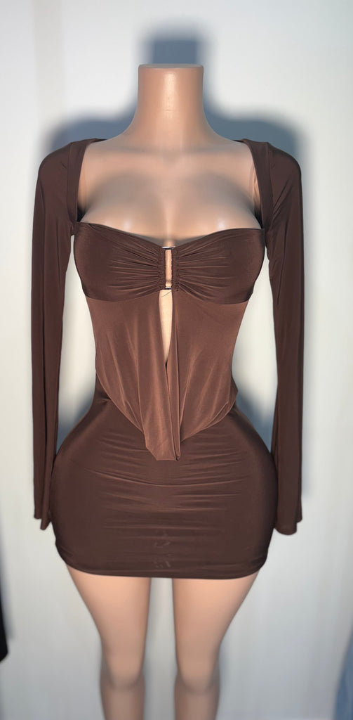 BROWN MINI  LONG SLEEVE DREES